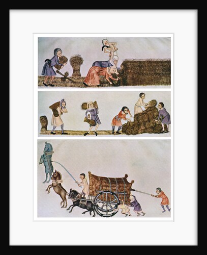 Reaping, carrying, and carting, c1300-1340, (c1900-1920) by Anonymous