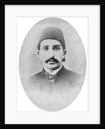 The Sultan of Turkey by London Stereoscopic & Photographic Co