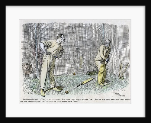 Cricket by Anonymous