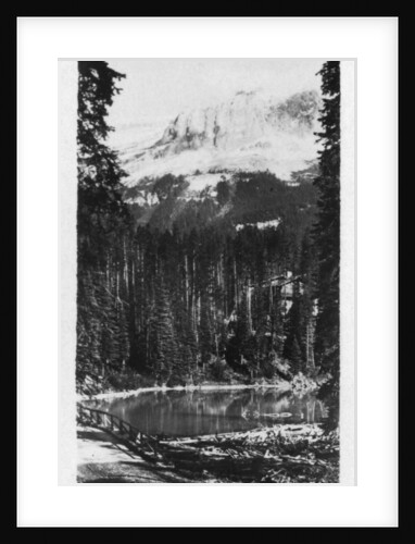 Emerald Lake near Field, British Columbia, Canada by Anonymous