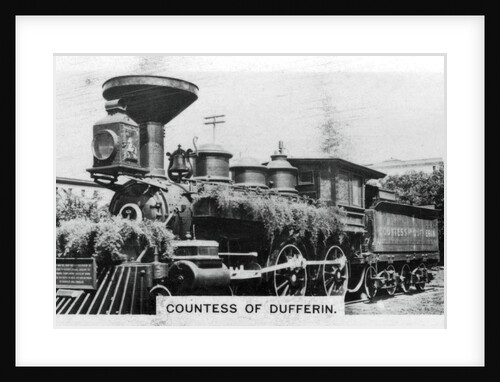 'Countess of Dufferin', Canada by Anonymous