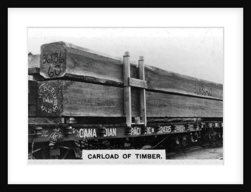 Carload of Douglas fir, Canada by Anonymous