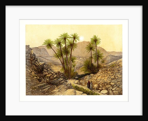 The Desert of Sinai, Egypt by W Dickens