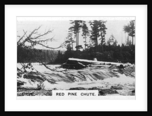Red Pine Chute, Canada by Anonymous