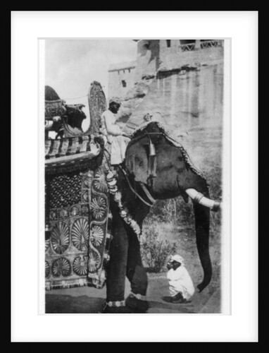 Government elephant in state costume, South India by Anonymous