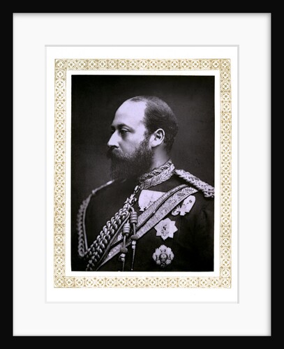 The Prince of Wales by Alexander Bassano