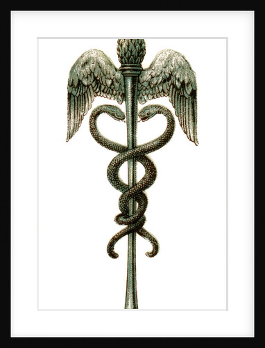 The Caduceus by Anonymous