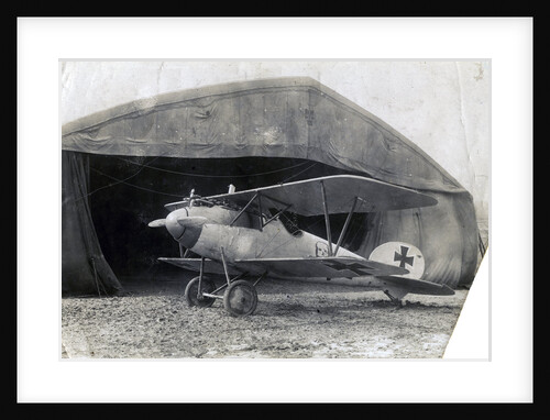 German Albatros DV, Souilly, France by Anonymous