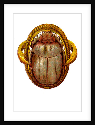The Scarab by Anonymous
