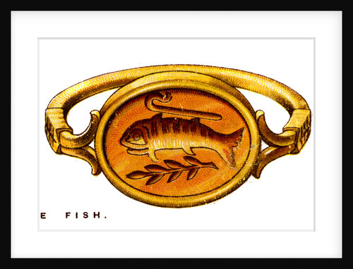 The Fish by Anonymous