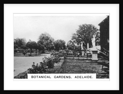 Botanical Gardens, Adelaide, Australia by Anonymous