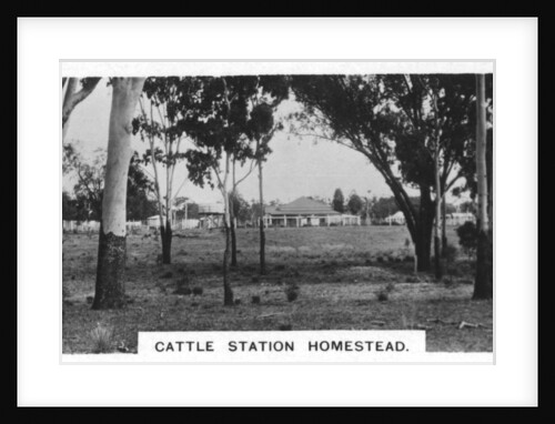 Cattle station homestead, Australia by Anonymous
