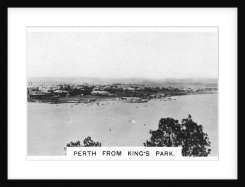 Perth from King's Park, Western Australia by Anonymous