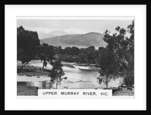 Upper Murray River, Victoria, Australia by Anonymous
