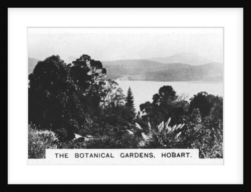 The Botanical Gardens, Hobart, Tasmania by Anonymous