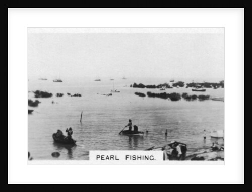 Pearl fishing, Australia by Anonymous