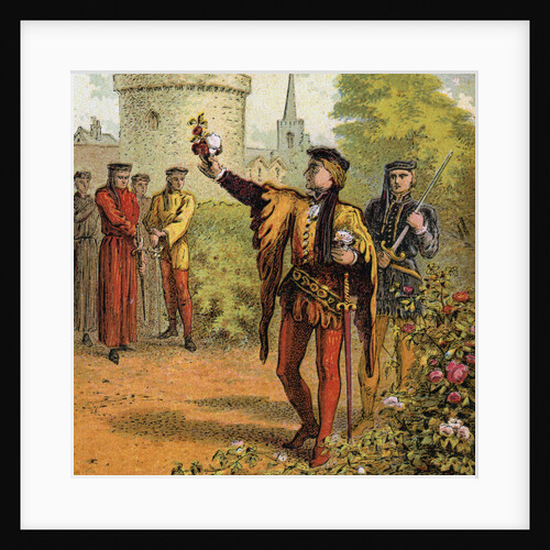 The Red And White Roses by Anonymous