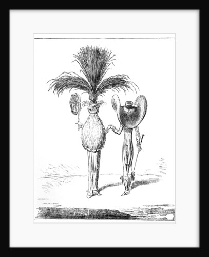 Parasols for 1795 by Anonymous