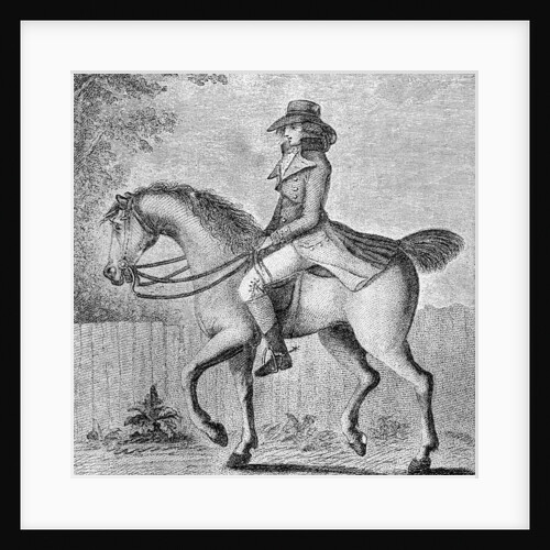 The Mistaken Notion by W Dickinson