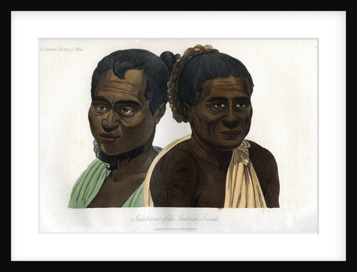 Inhabitants of the Sandwich Islands by Anonymous