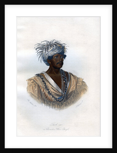 Tuch-ee, A Cherokee War Chief by Harris