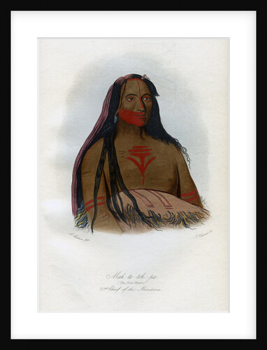 Mah-to-toh-pa, (The Four Bears), 2nd Chief of the Mandans by Harris