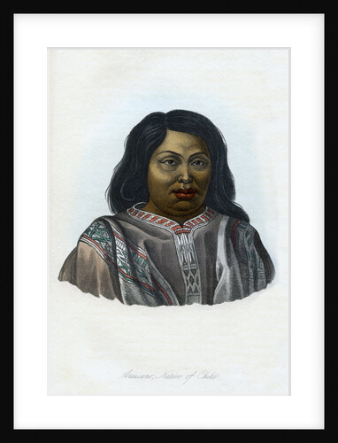 Araucano, Native of Chili by Anonymous