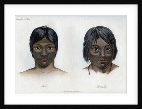 Juri and Botocudos, of the Brasilio-Guarani nation by Anonymous