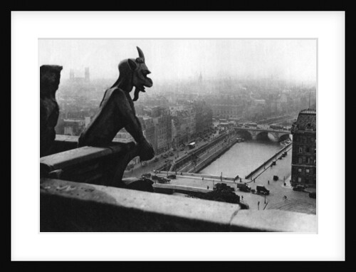 The River Seine seen from a tower of Notre Dame, Paris by Ernest Flammarion