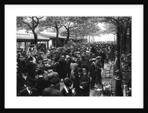 General view of the bird market, Paris by Ernest Flammarion