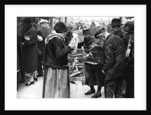 A group of buyers of canaries, Paris by Ernest Flammarion