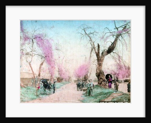 A park in springtime, Sendai, Miyagi Prefecture, Japan by Anonymous