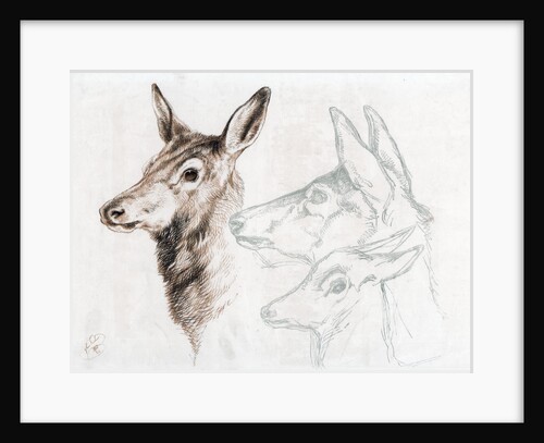Facsimile of a drawing by Sir E Landseer by Edwin Henry Landseer
