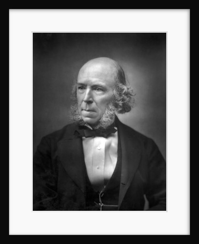 Herbert Spencer by Anonymous