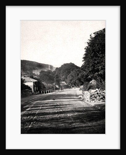 Street through a valley in Hastings, Sussex by Anonymous