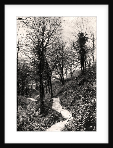 Lovers Lane, Fairlight, Hastings, Sussex by Anonymous
