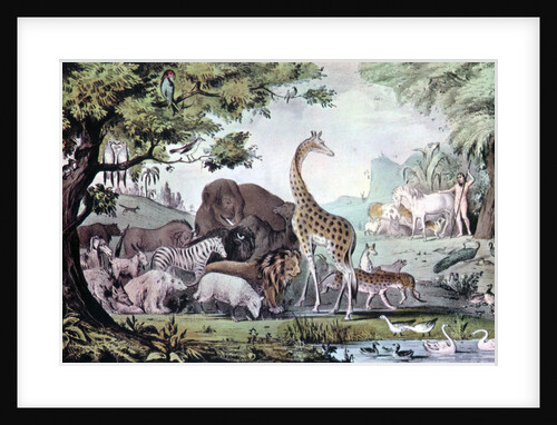 Adam Naming the Creatures by Nathaniel Currier