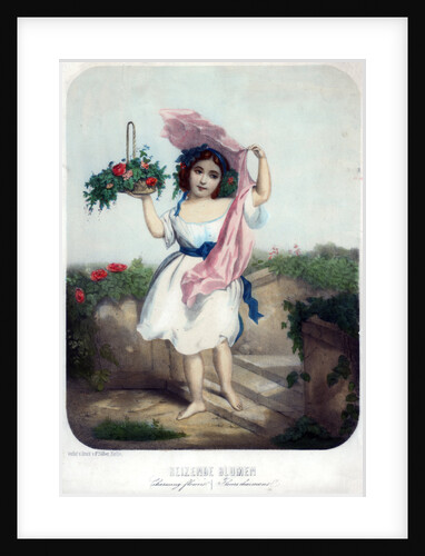 Charming flowers by F Silber