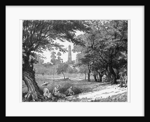 The Phoenix Park, Dublin by Anonymous
