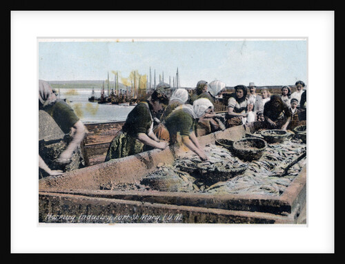 Herring industry, Port St Mary, Isle of Man by Anonymous