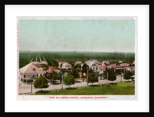 Castro Street, Hayward, California by Anonymous
