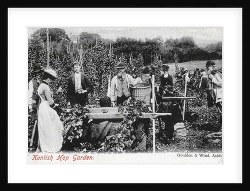 A Kentish hop garden by Goulden and Wind