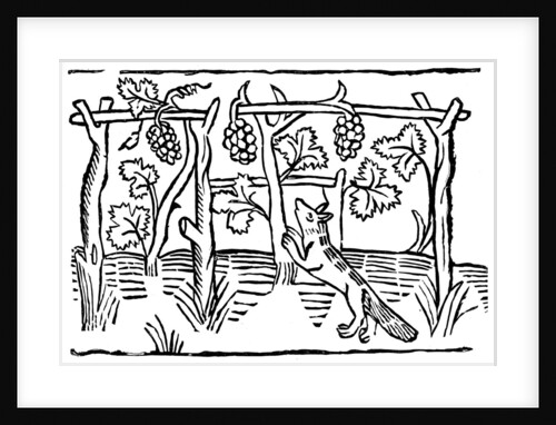 The Fox and the Grapes by Anonymous