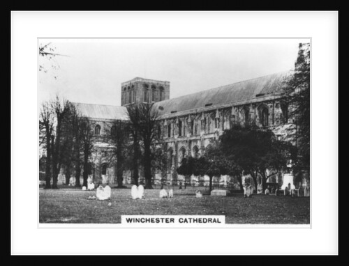 Winchester Cathedral, Hampshire by Anonymous