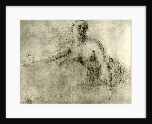 A study by Albrecht Dürer