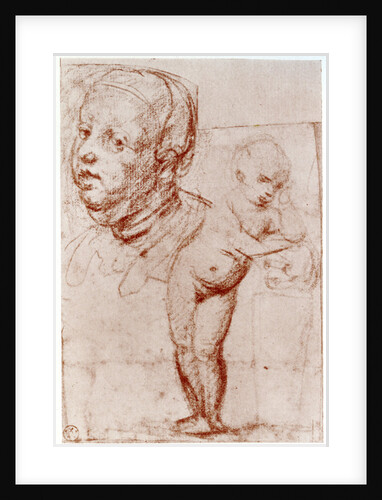 Studies by Albrecht Dürer