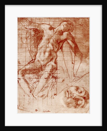 Studies by Agnolo Bronzino