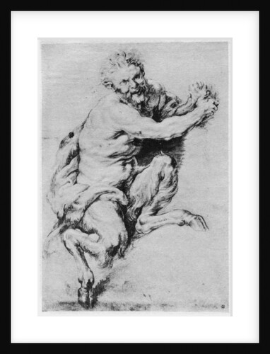 Study of a Satyr by Peter Paul Rubens