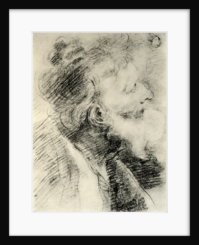 Study for the Head of an Old Man by Peter Paul Rubens
