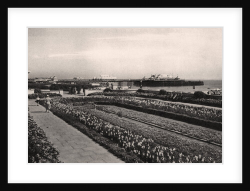 Floral gardens and the West Pier, Brighton, Sussex by Anonymous